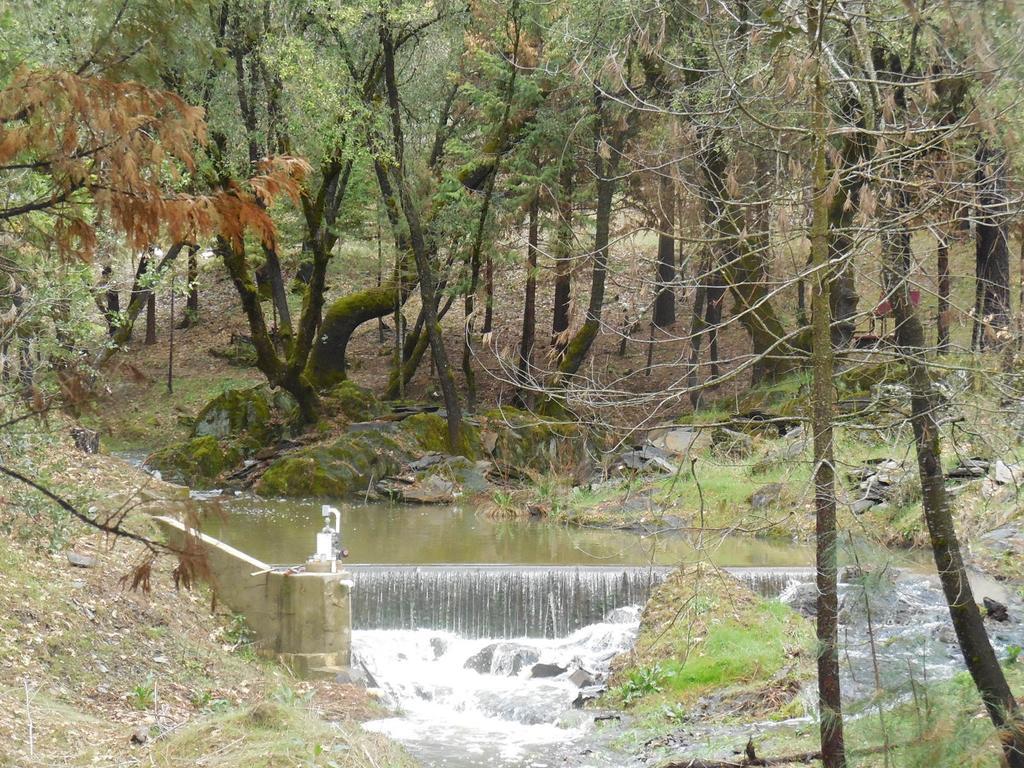 קולטרוויל Yosemite Paradise Inn מראה חיצוני תמונה